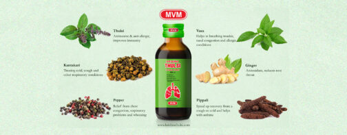 KRISHNA THULASI SYRUP - Image 2